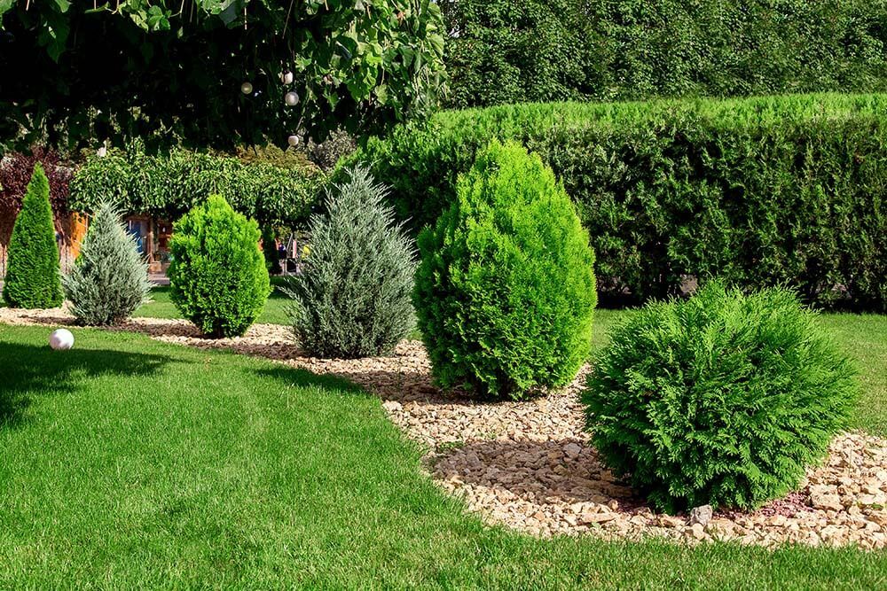 Ein Garten mit einer Reihe aus verschiedenen Büschen | Heinrich Niestroj Haus- und Grundstücksservice